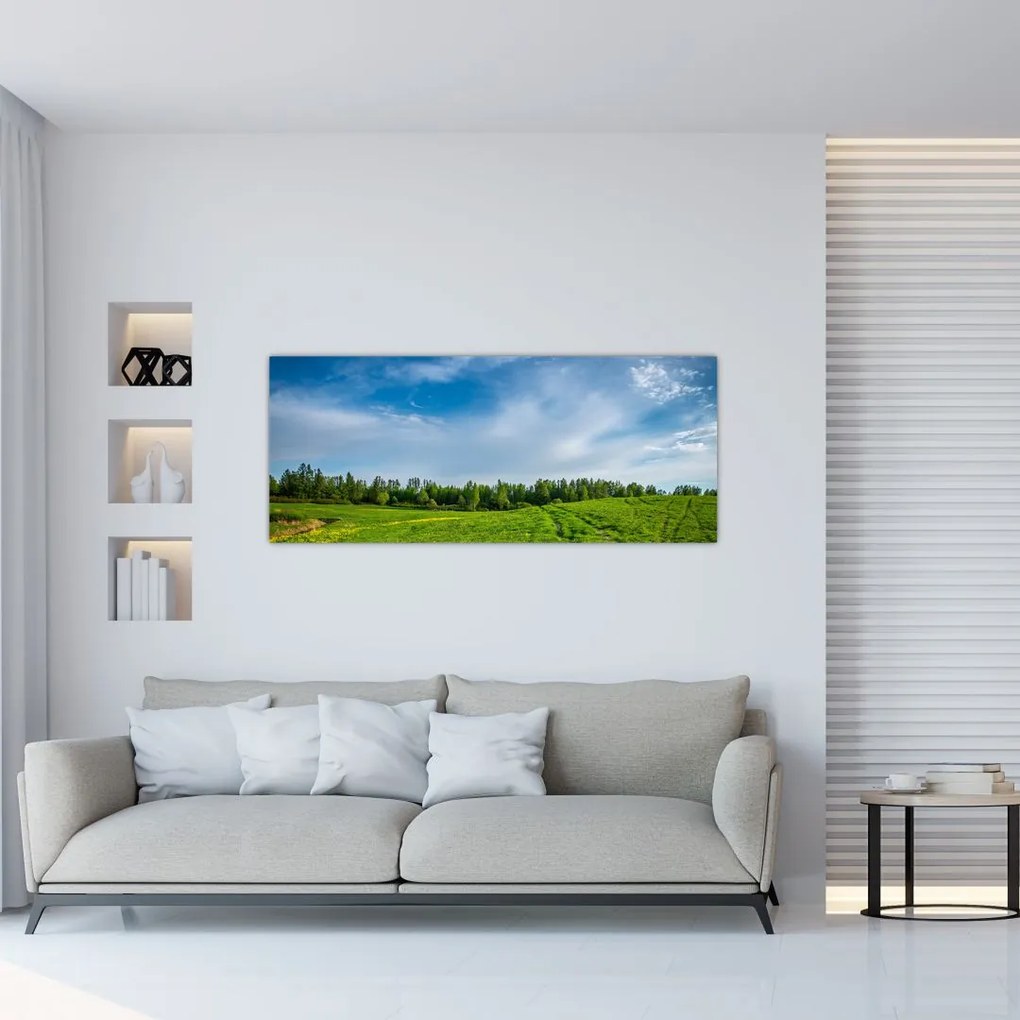 Tablou cu luncă (120x50 cm)