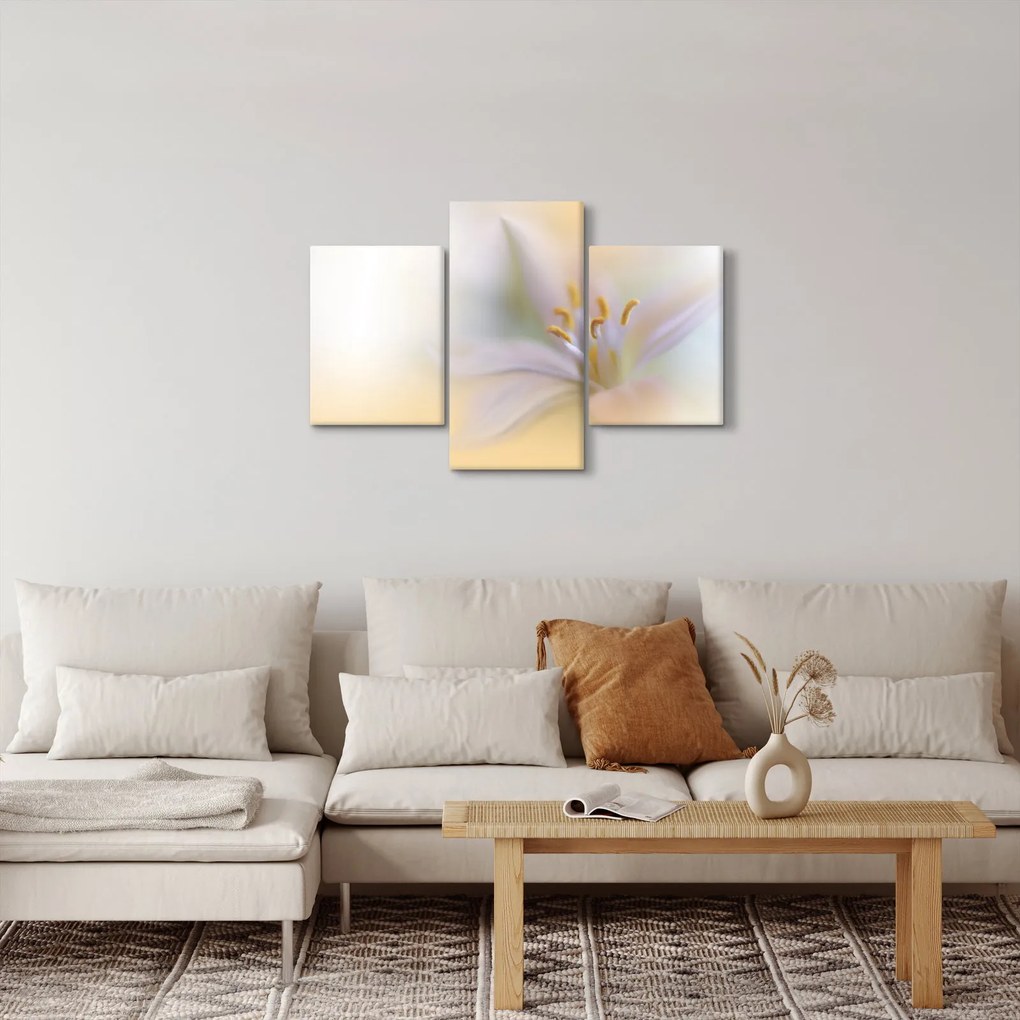 Tablou - Floare fragedă (90x60 cm)