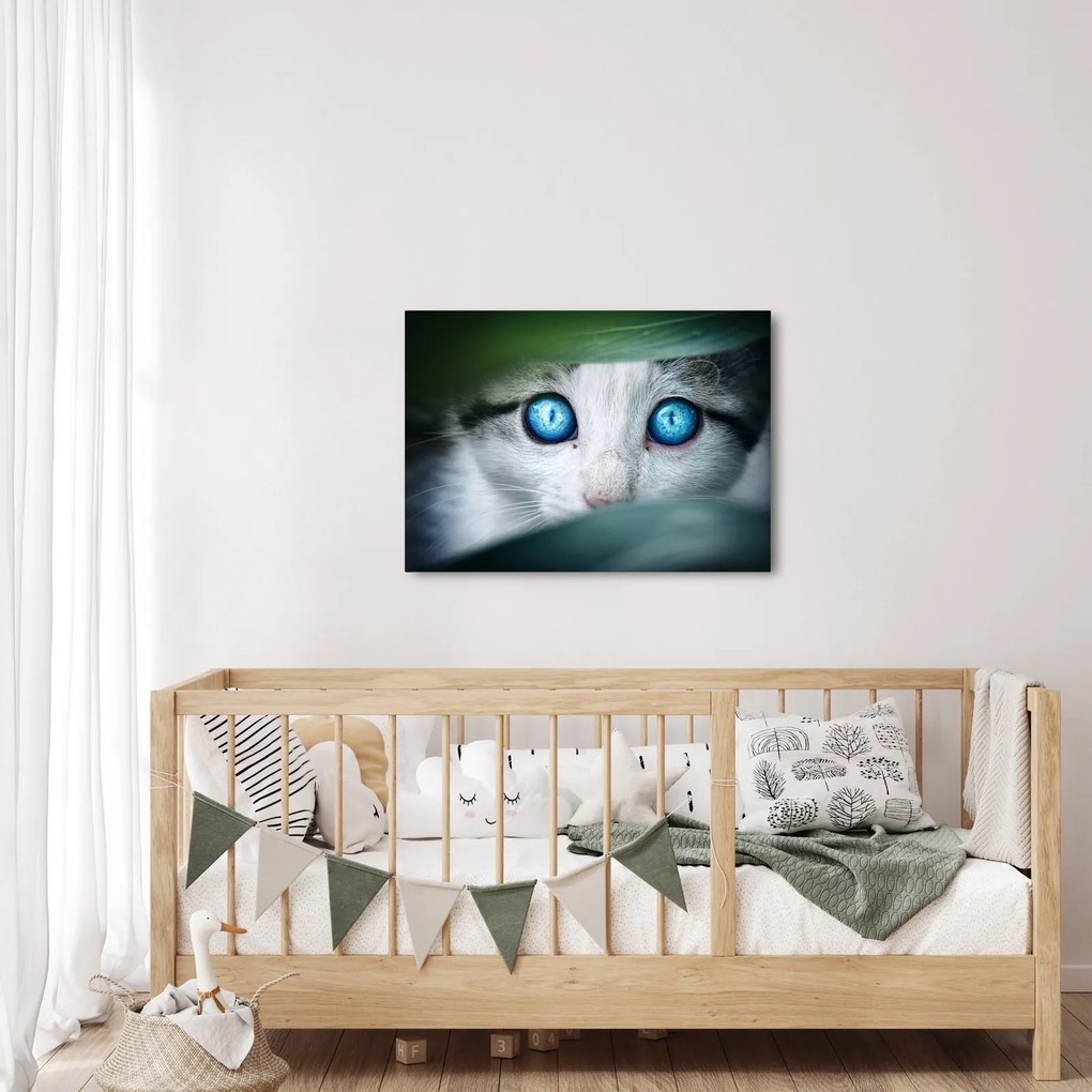 Tablou cu pisica (70x50 cm)