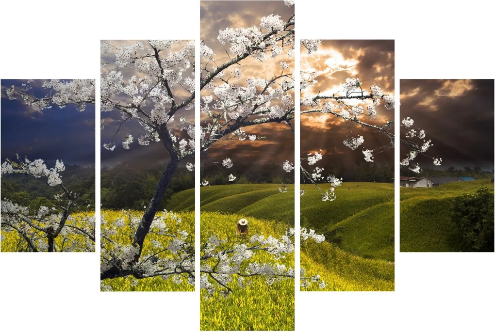 Tablou - Peisaj cu pomul înflorit (150x105 cm)