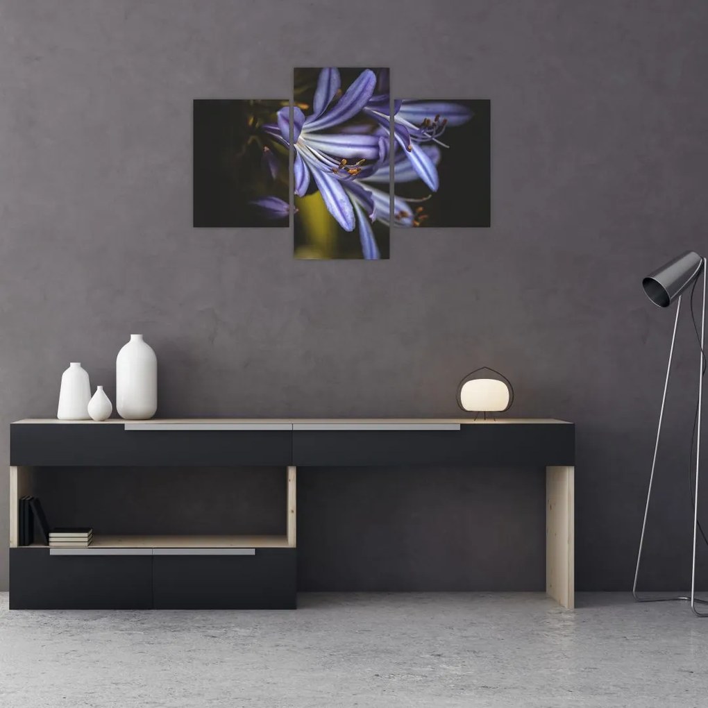 Tablou - Lila (90x60 cm)