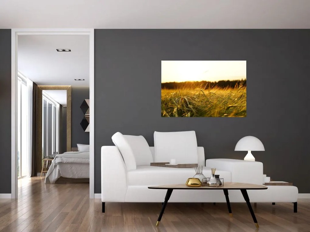 Tablou iarba cu rouă (90x60 cm)