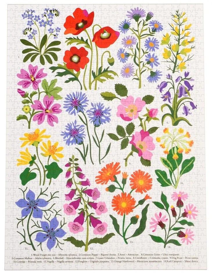 Puzzle (număr de piese 1000) Wild Flowers – Rex London