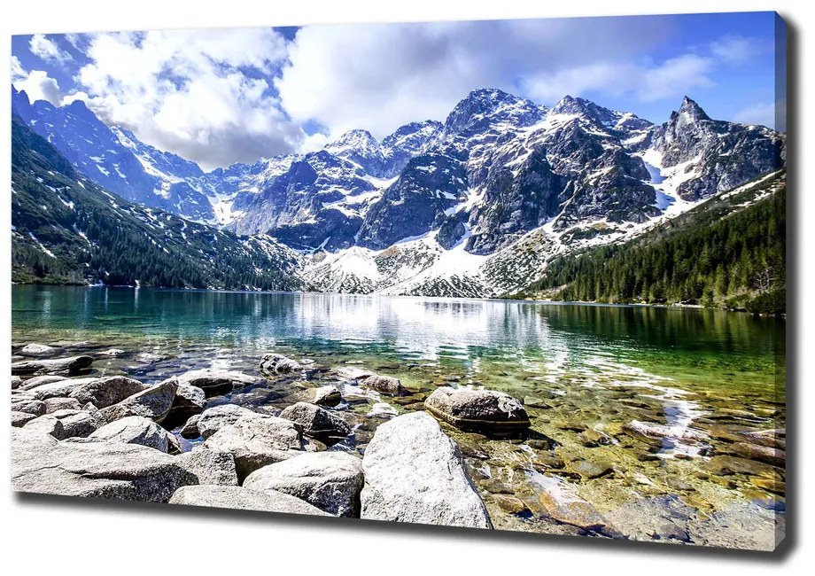 Tablou pe pânză Marine ochi tatry