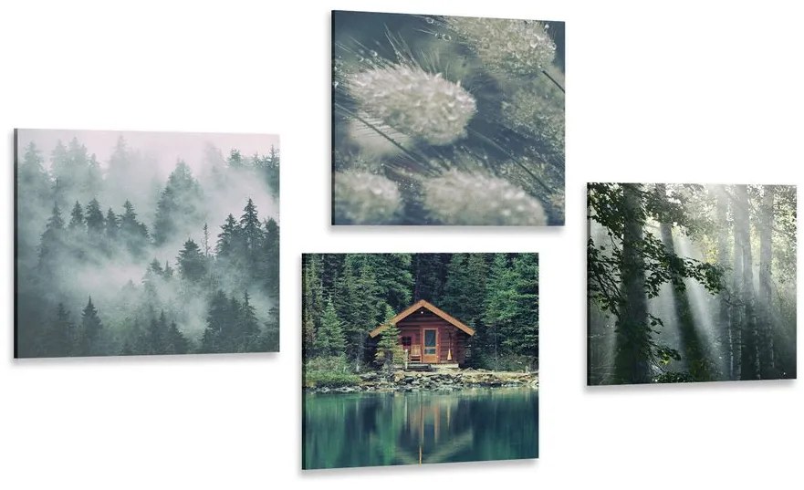Set tablouri frumusețile naturale