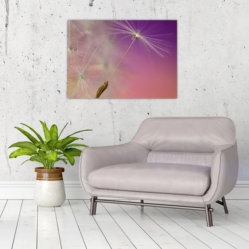 Tablou pe sticlă cu floarea norocul (70x50 cm)
