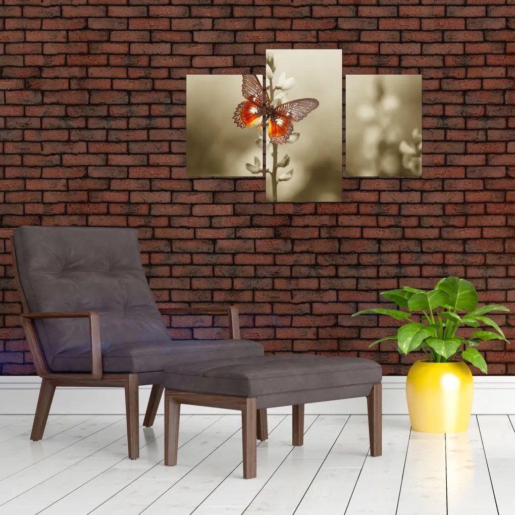Tablou cu fluture (90x60 cm)