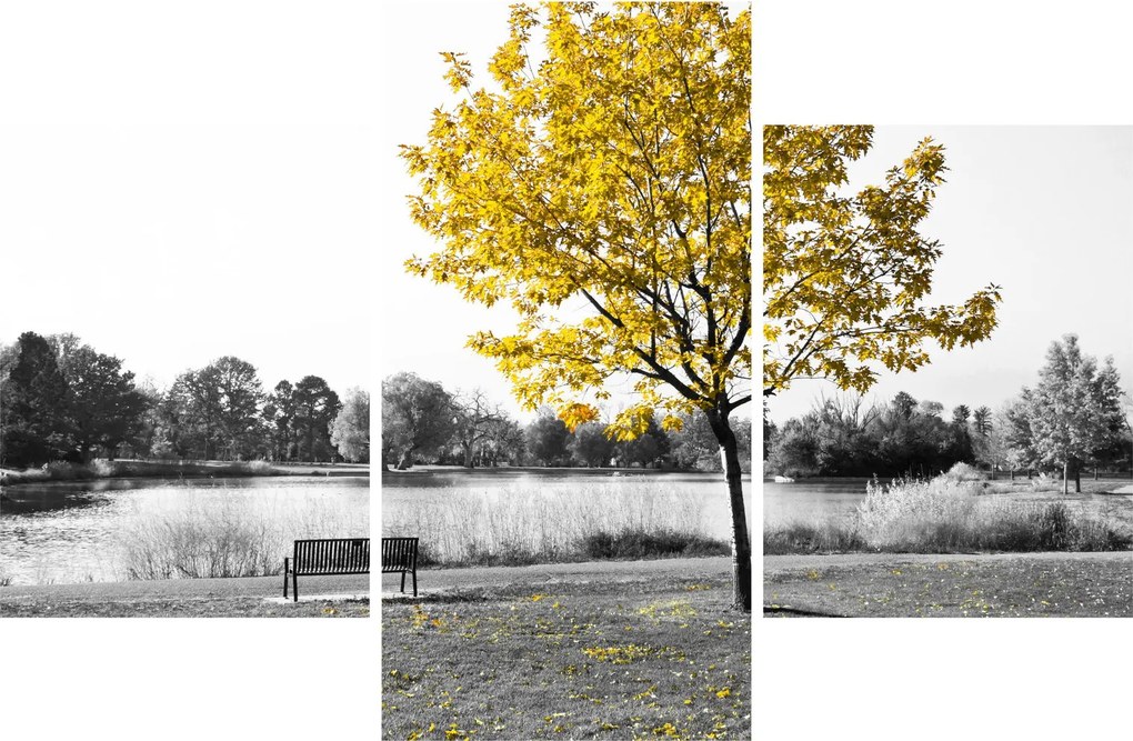 Tablou - relaxare în parc (90x60 cm)