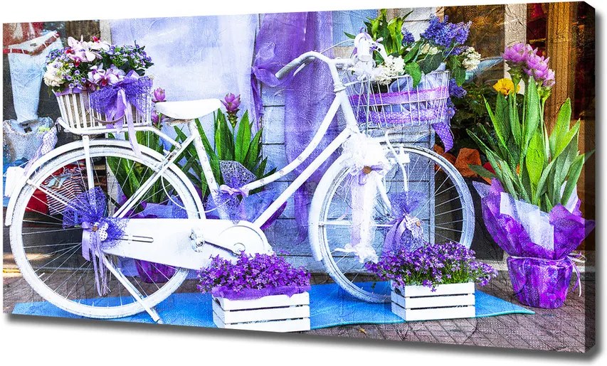 Imprimare tablou canvas Bicicletă alb