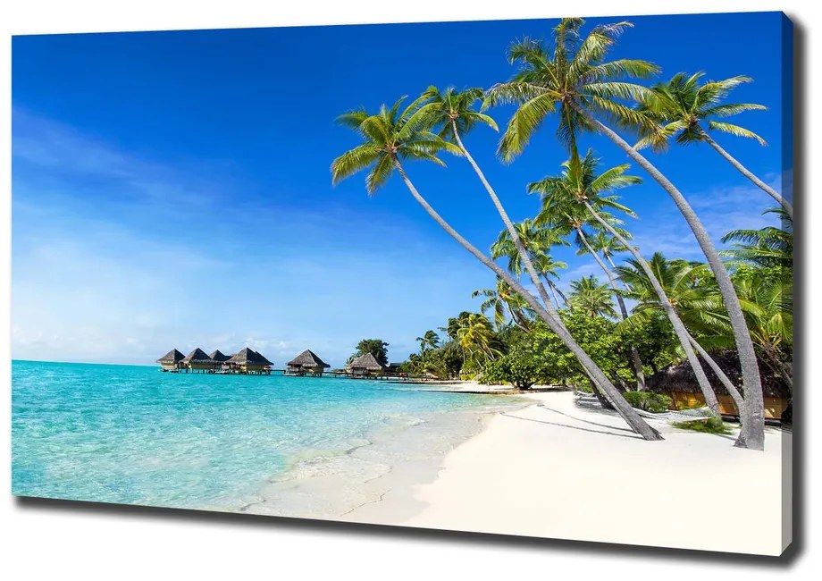Print pe canvas Maldive