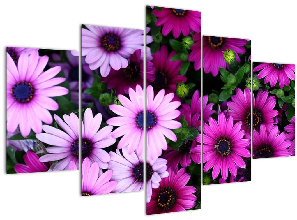 Tablou - Flori (150x105 cm)