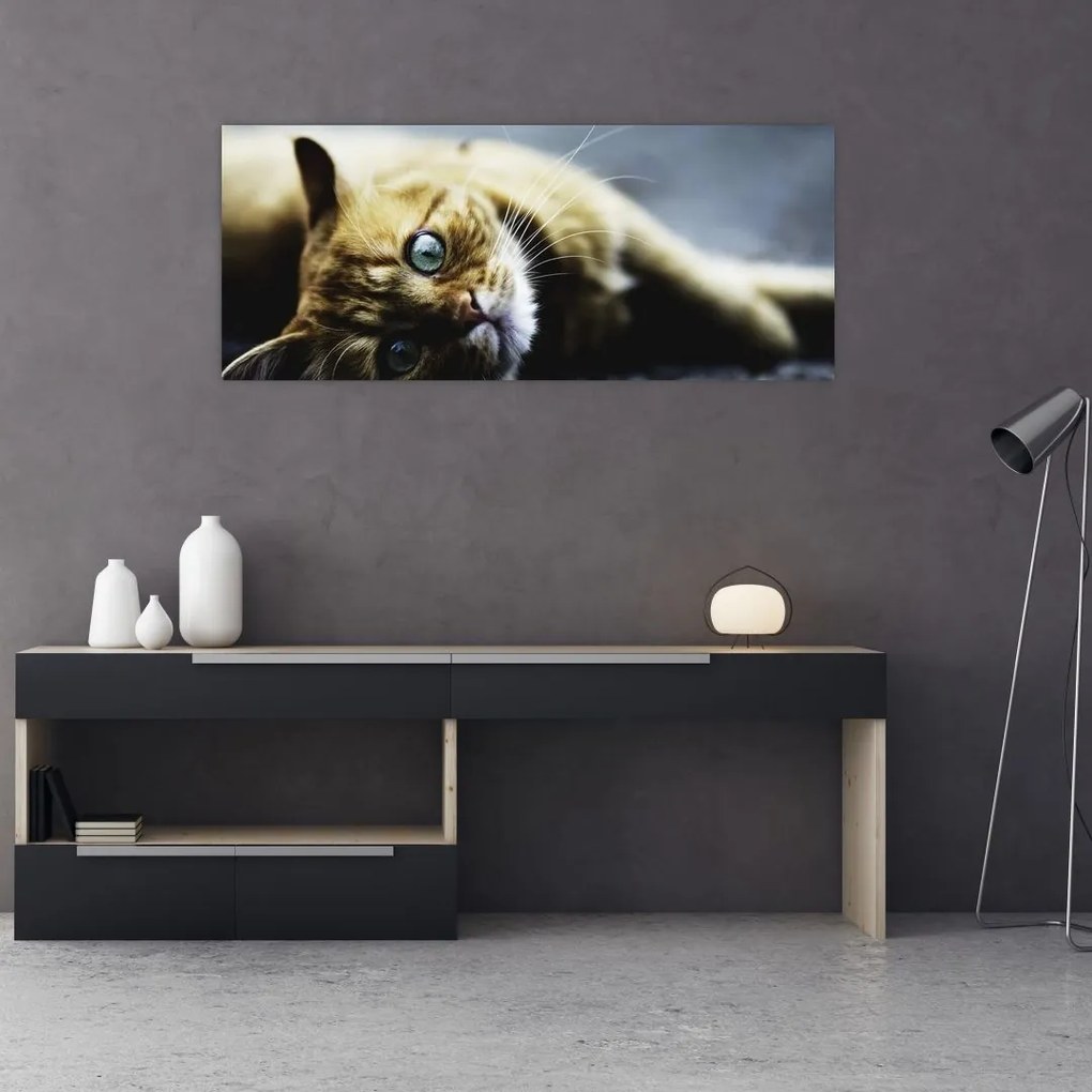 Tablou cu pisica (120x50 cm)