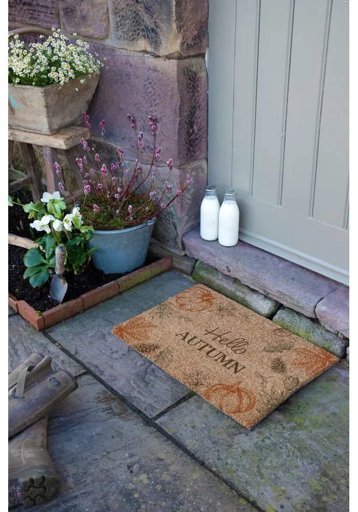 Covoraș de intrare din fibre de nucă de cocos 40x60 cm Hello Autumn – Artsy Doormats