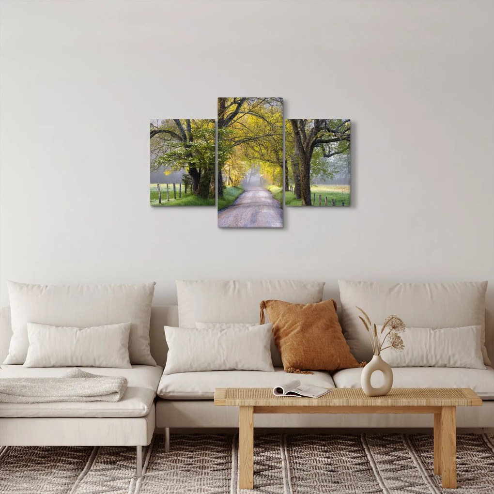 Tablou - Smoky Mountains, Gatlinburg, SUA (90x60 cm)