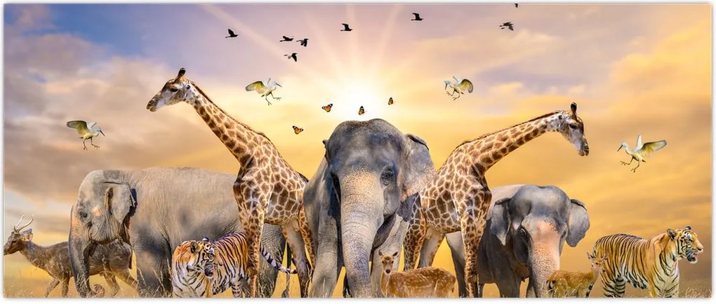 Tablou - Animae din Africa (120x50 cm)