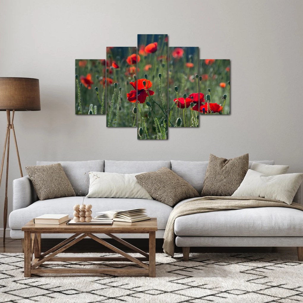 Tablou - Lunca cu maci (150x105 cm)