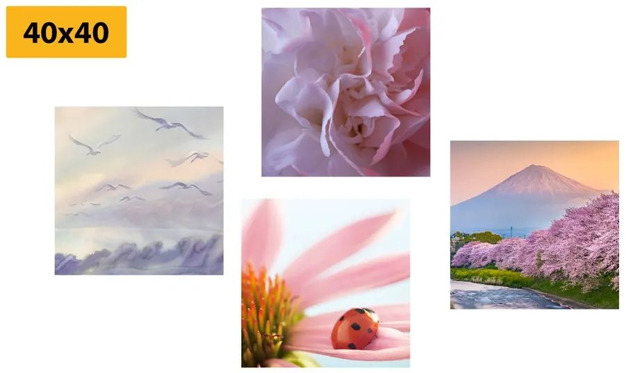 Set tablouri natura încântătoare delicată