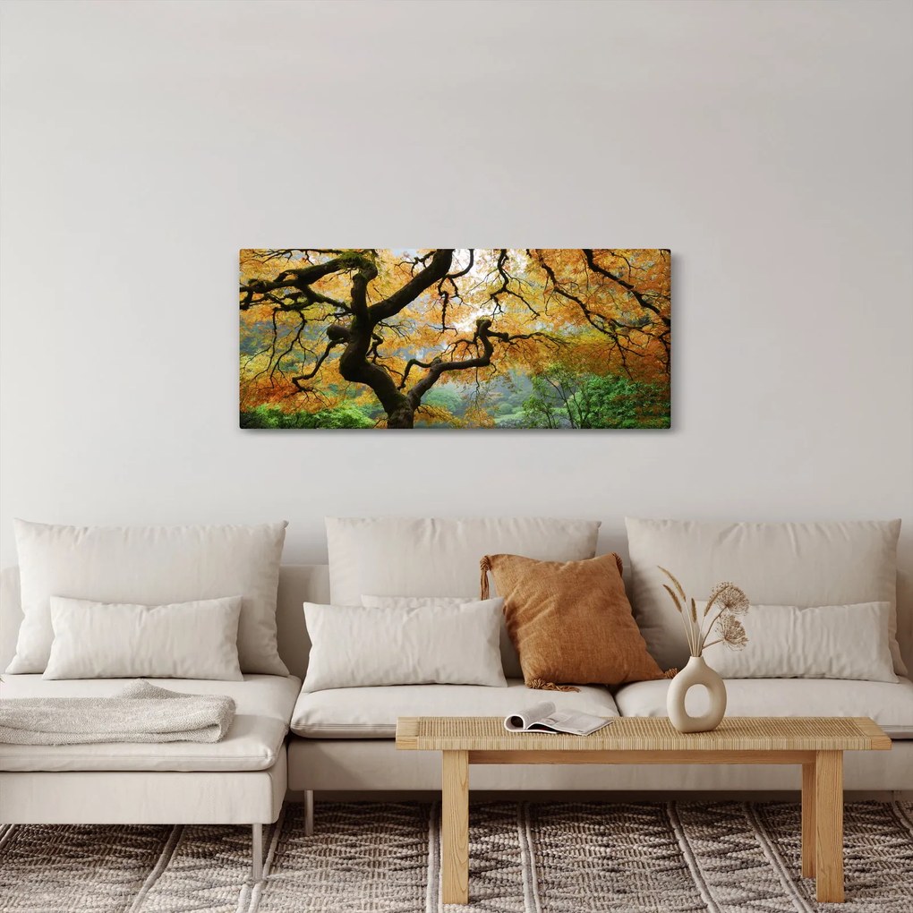 Tablou - Arțarul japonez galben, Portland, Oregon (120x50 cm)