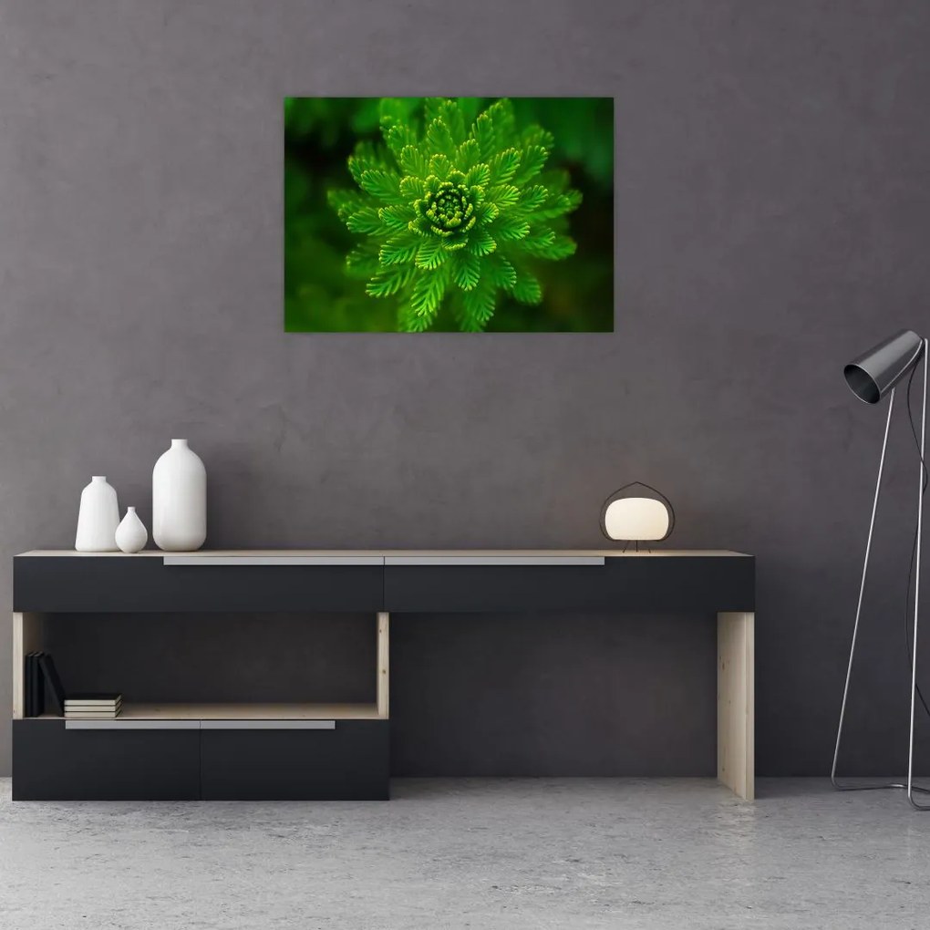 Tablou cu coniferi (70x50 cm)