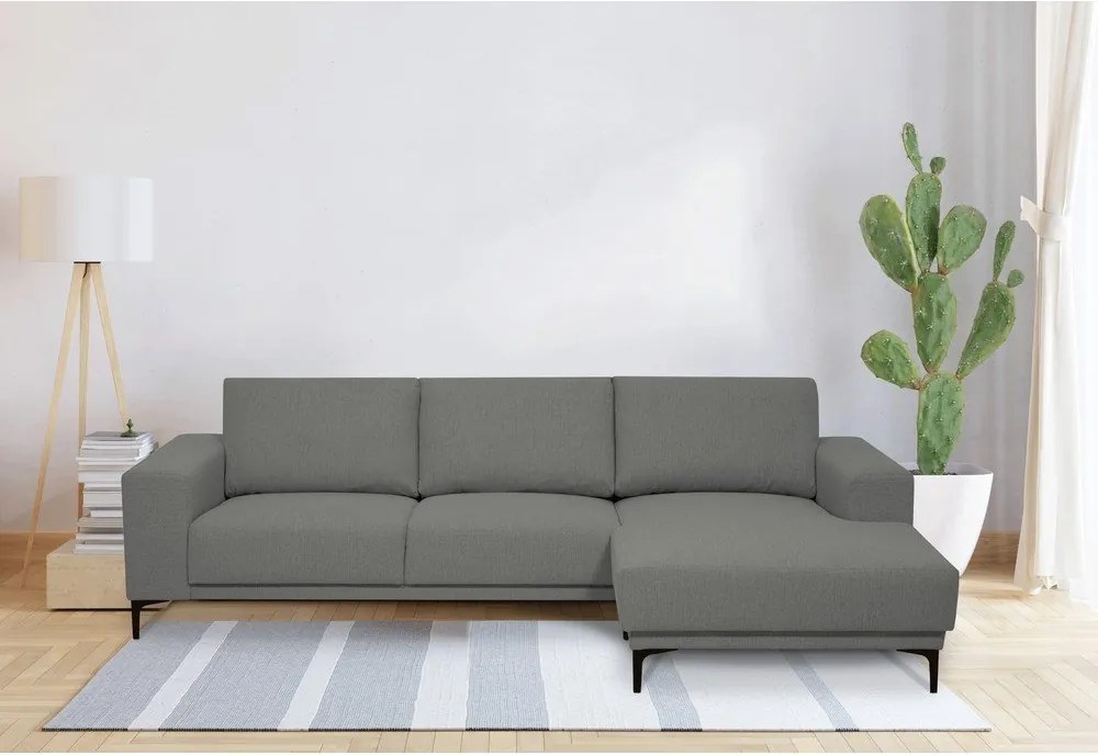 Colțar gri (colț pe partea dreaptă) Chile – Scandic