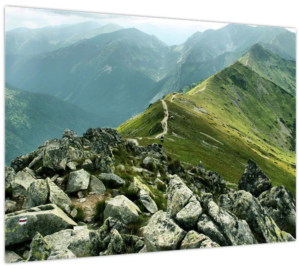 Tablou - Peisaj montan (70x50 cm)