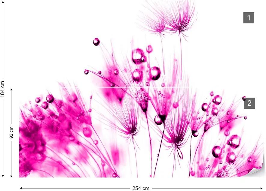 GLIX Fototapet - Modern Dandelion Pink And White Vliesová tapeta  - 254x184 cm