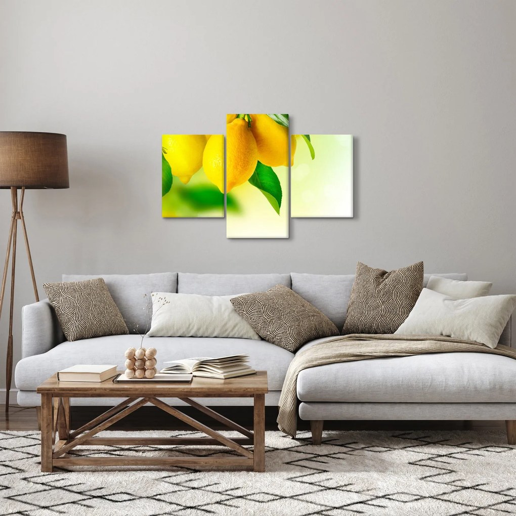 Tablou cu lămâi (90x60 cm)