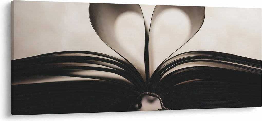 Tablou cu carte (120x50 cm)