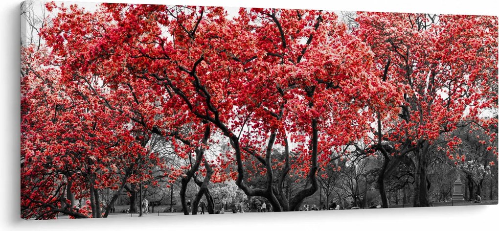 Tablou - Copacii roșii, Central Park, New York (120x50 cm)