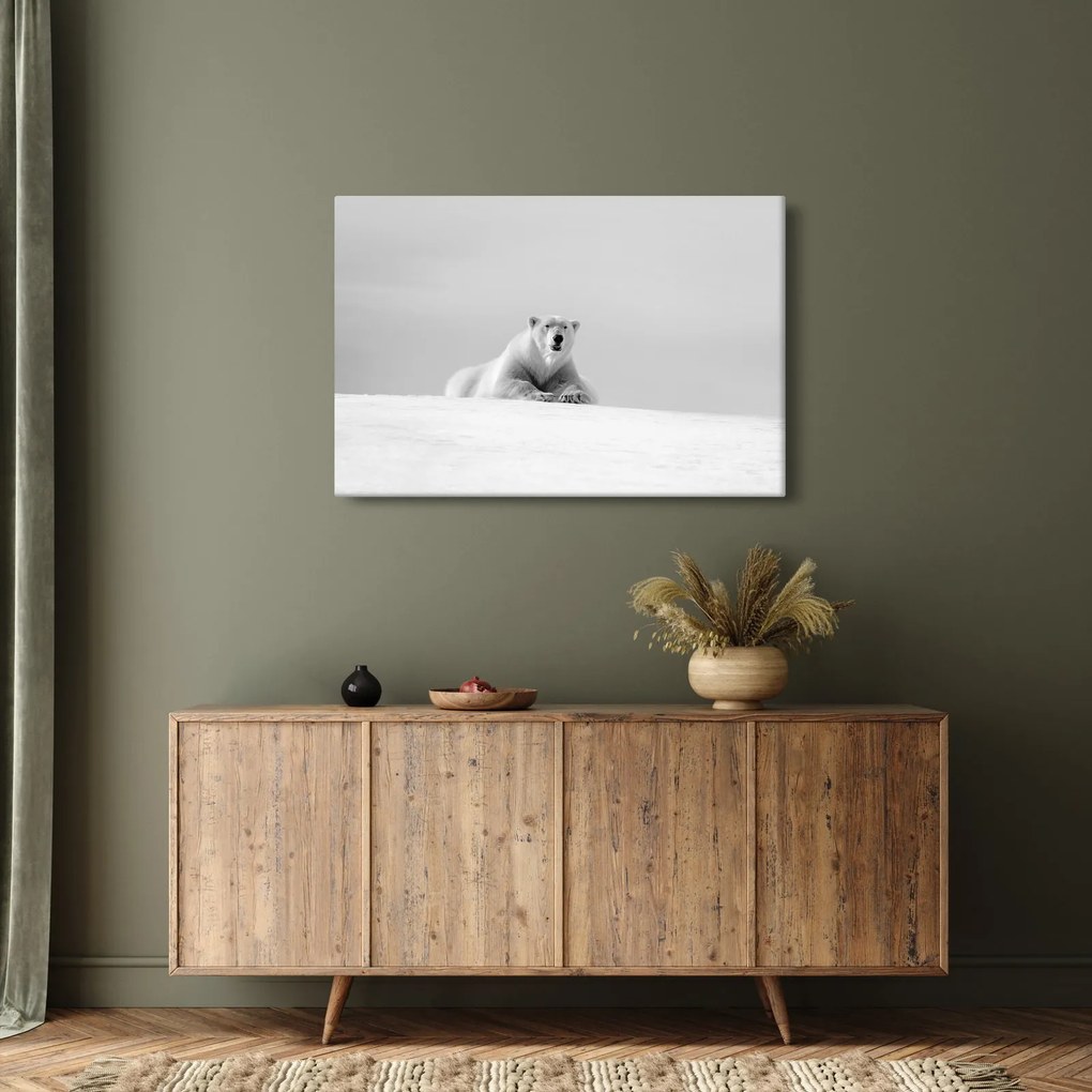 Tablou - Urs polar,alb-negru (90x60 cm)