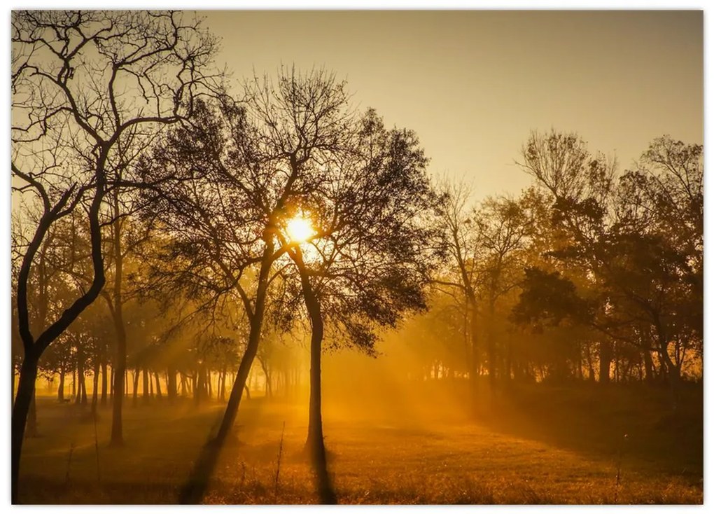 Tablou pe sticlă - Răsărit de soare (70x50 cm)