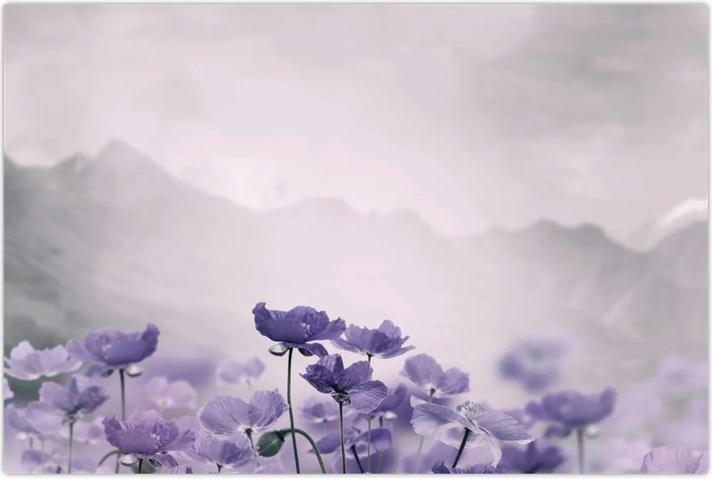 Tablou - Flori mov în munți (90x60 cm)