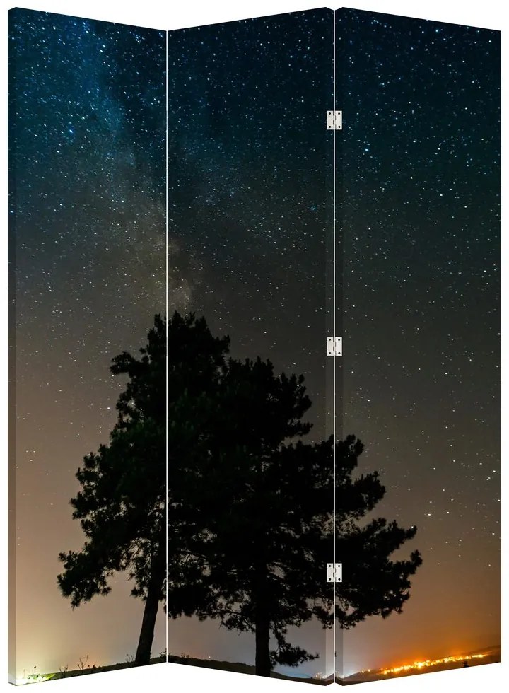 Paravan - Cerul nocturn și copaci (126x170 cm)