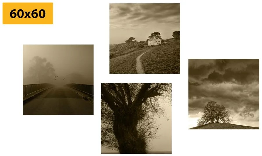 Set tablouri natura misterioasă în design sepia