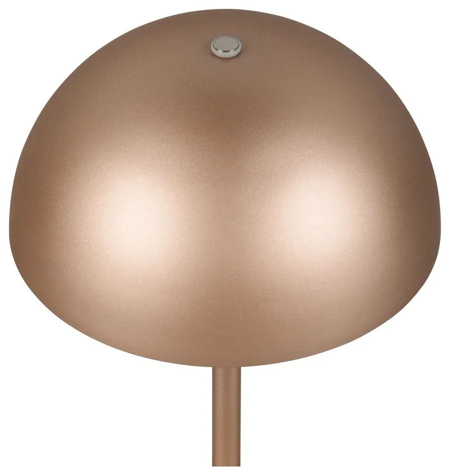 Veioză bronz LED cu abajur din metal (înălțime 21 cm) Munoz – Reality