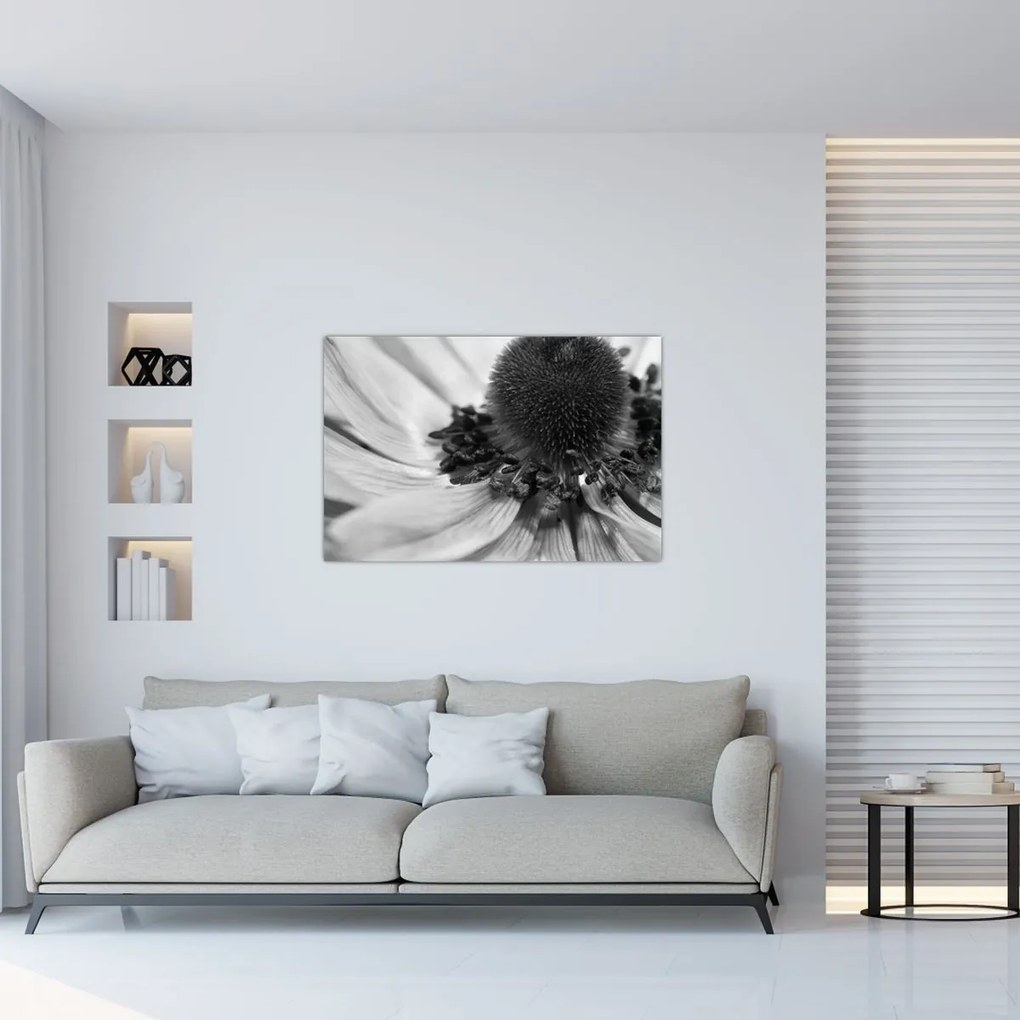 Tablou - Floare în alb-negru (90x60 cm)