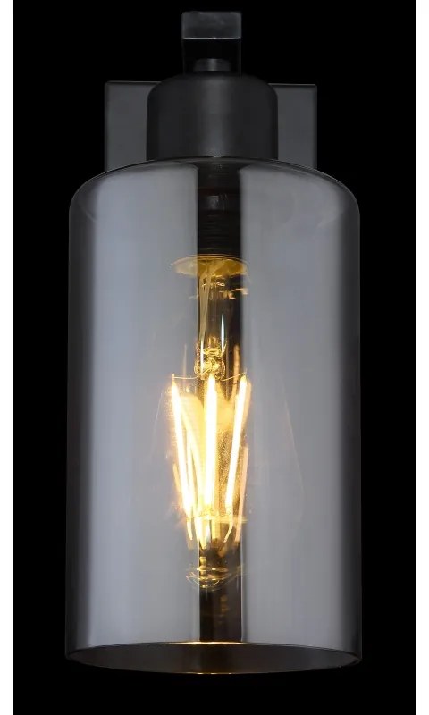 Aplica de perete design modern HADERA 15465W GL