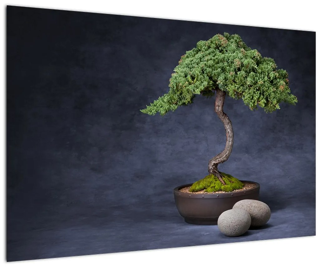Tablou - Bonsai (90x60 cm)