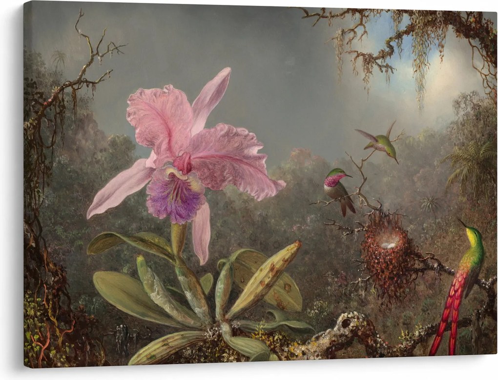 Tablou - Martin Johnson Heade, Cattleya Orchid and Three Hummingbirds, reproducere (70x50 cm)