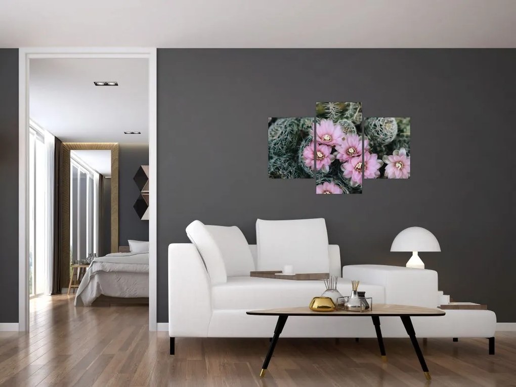 Tablou floare de cactus (90x60 cm)