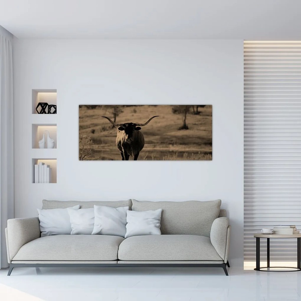 Tablou - Vacă din Texas (120x50 cm)