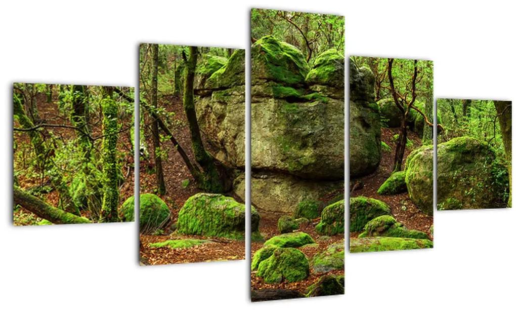 Tablou cu pădurea fermecată (125x70 cm), în 40 de alte dimensiuni noi