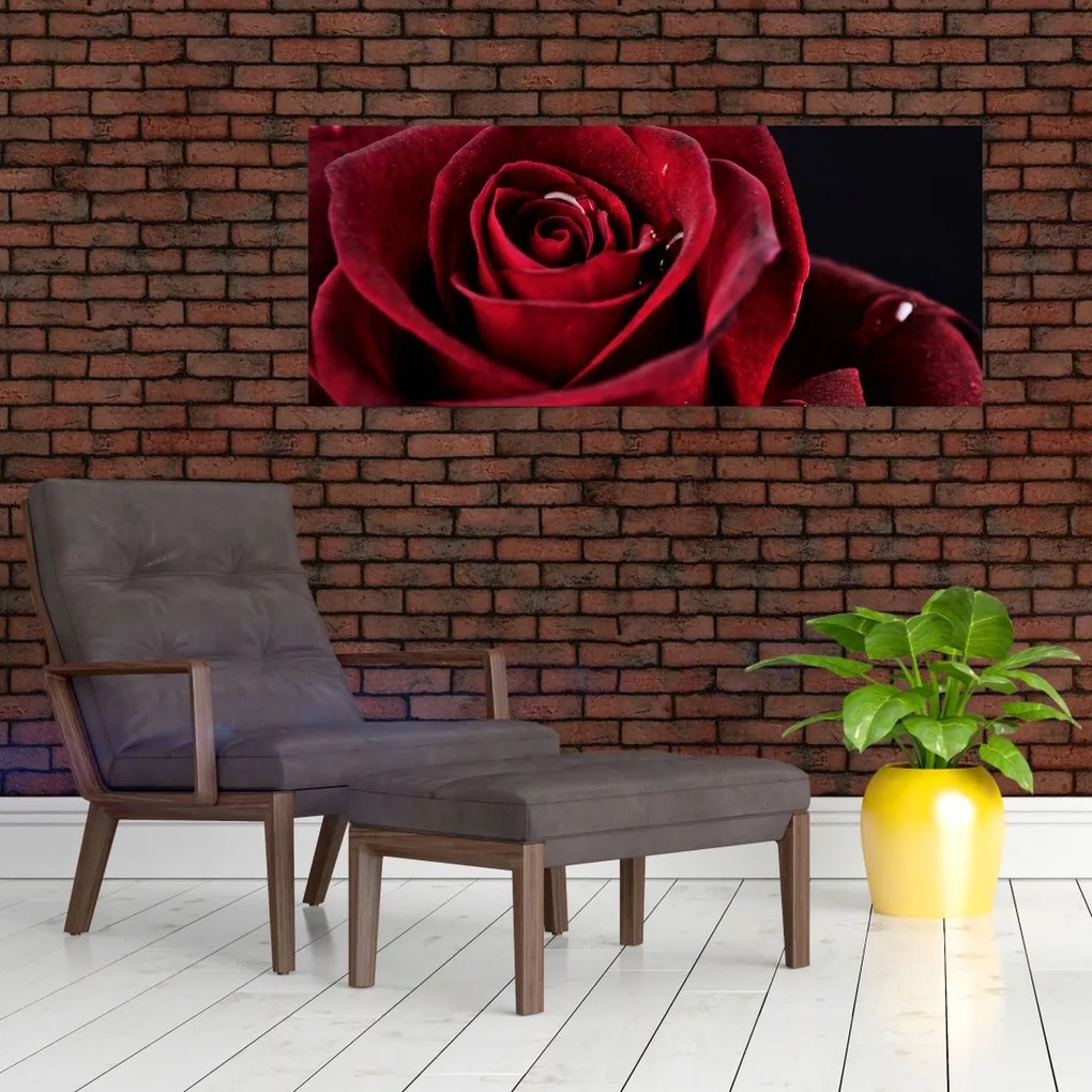 Tablou - Trandafir roșu (120x50 cm)