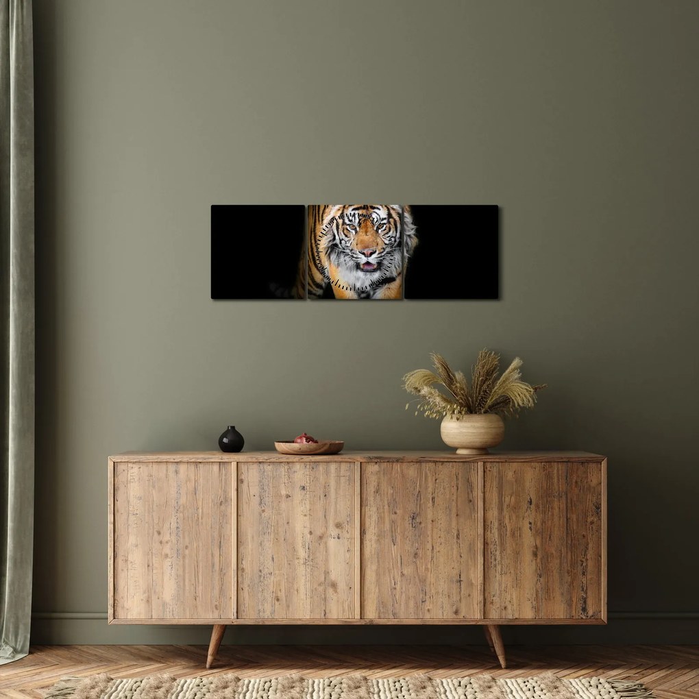 Tablou - Tiger (cu ceas) (90x30 cm)