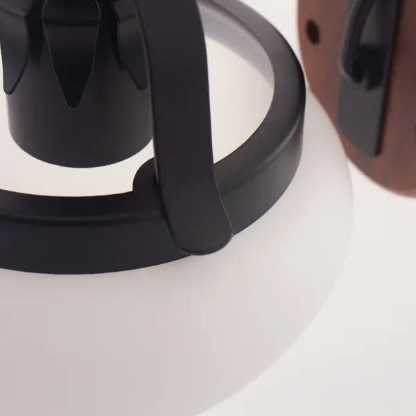 Rabalux 7077 - Corp de iluminat perete PETRONEL E27/60W/230V