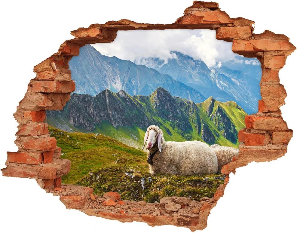 Fototapet un zid spart cu priveliște Oile în Alpi