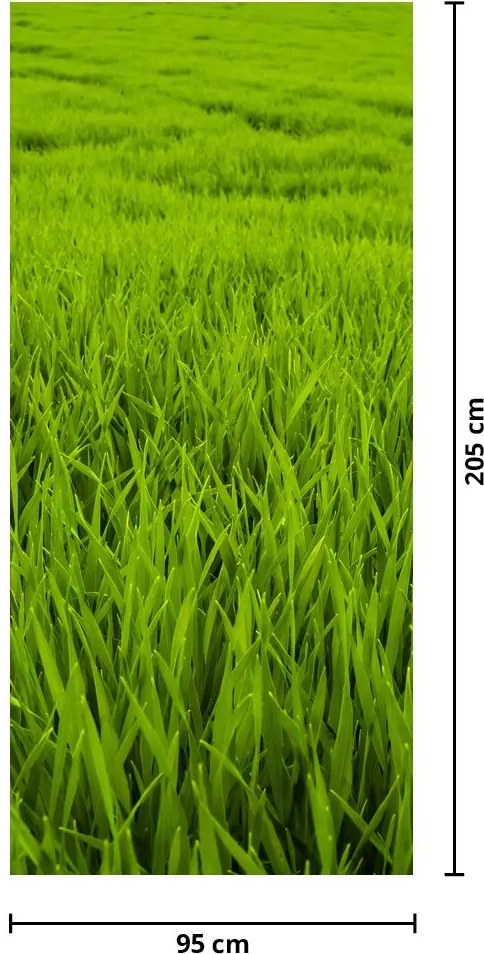 Fototapet pentru ușă - Iarba (95x205cm)