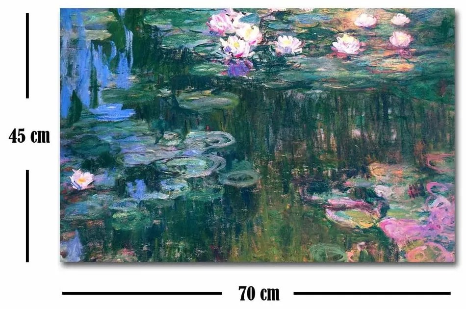 Reproducere tablou pe pânză Claude Monet, 45 x 70 cm