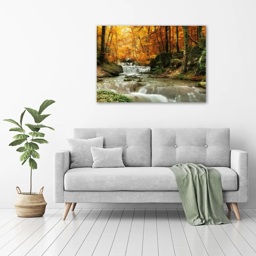 Tablou canvas Cascada din pădure