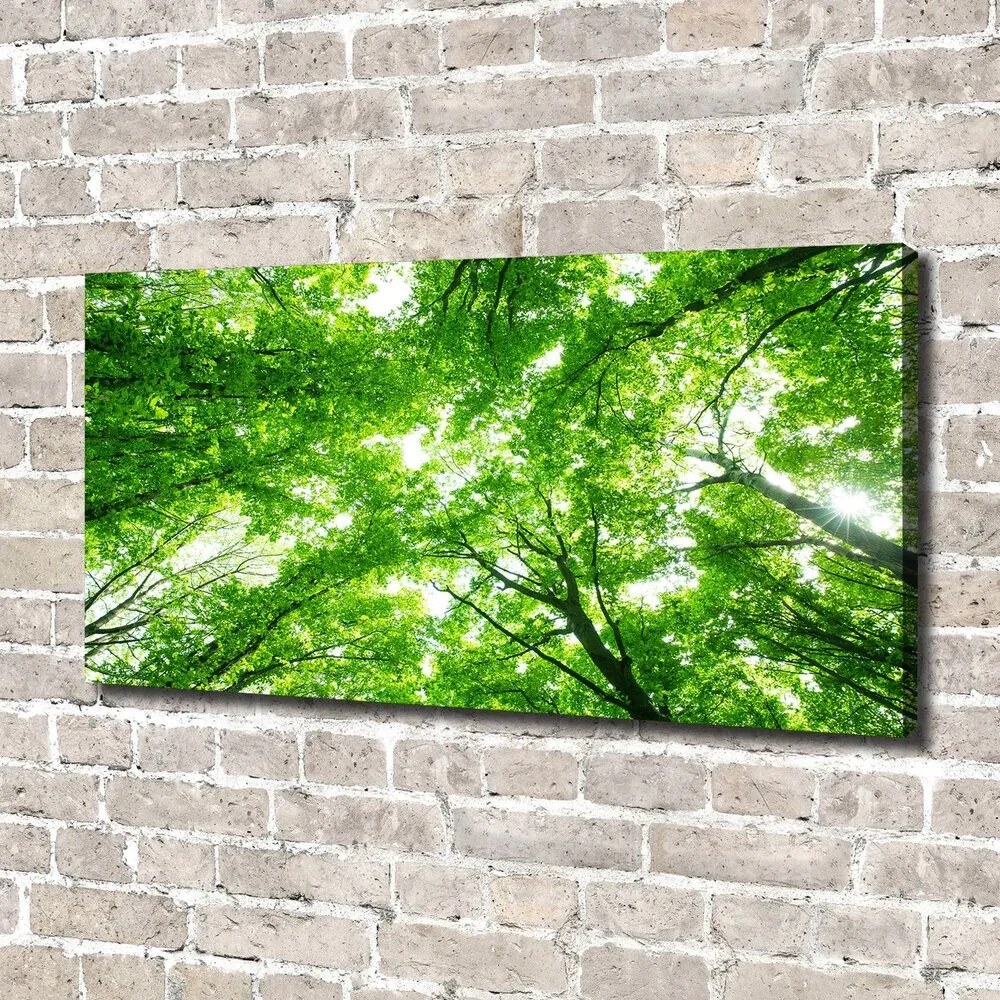 Tablou canvas Pădure verde